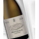 Métayage Chardonnay BIO blanc 2022 - Abbotts et Delaunay