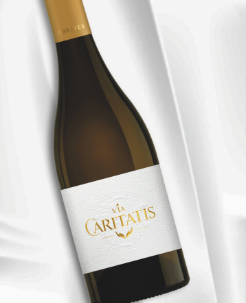 Abbayes blanc 2019 - Via Caritatis