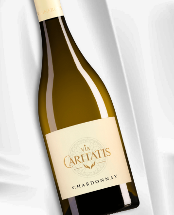 Chardonnay blanc 2023 - Via Caritatis
