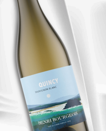 Quincy blanc 2023 - Domaine Henri Bourgeois