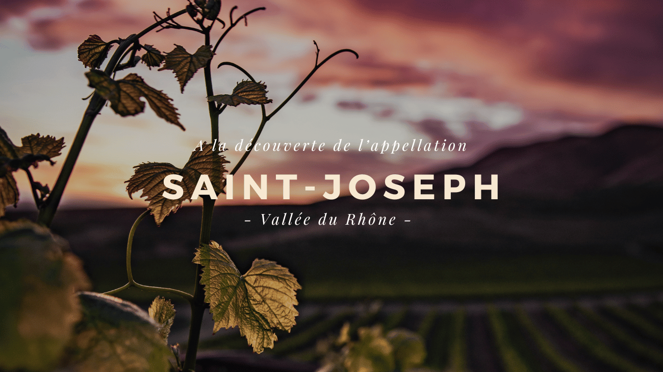 À la Découverte des Vins de Saint-Joseph !