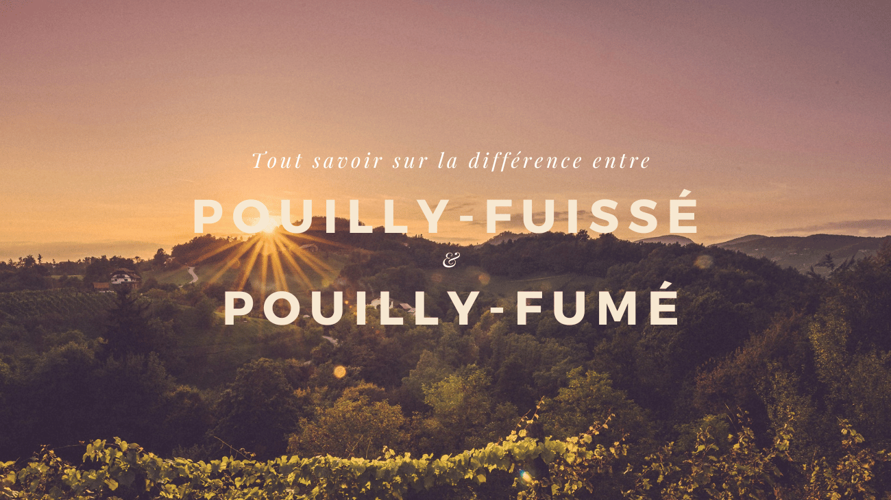 Pouilly-Fuissé vs Pouilly-Fumé : les secrets de deux vins aux noms trompeurs