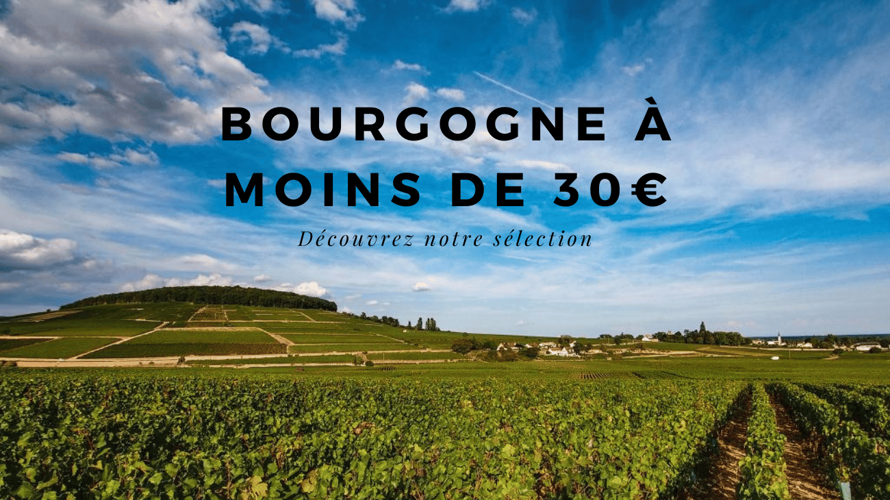 Des vins de Bourgogne à moins de 30€ : est-ce encore possible ?