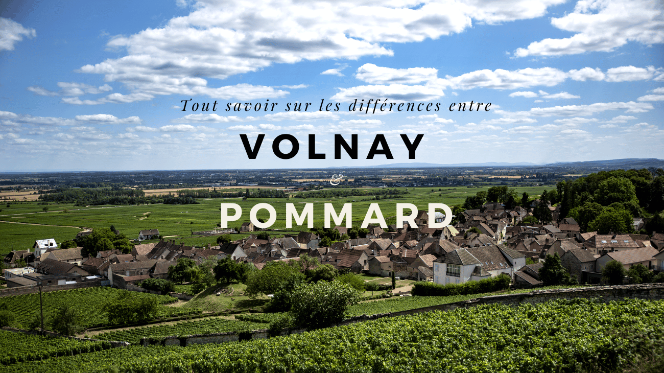 Volnay ou Pommard : comment choisir entre deux grands vins rouges de Bourgogne