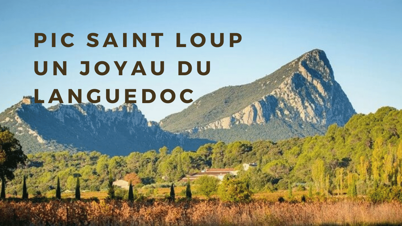Tout savoir sur l’AOC Pic Saint Loup : un joyau du Languedoc