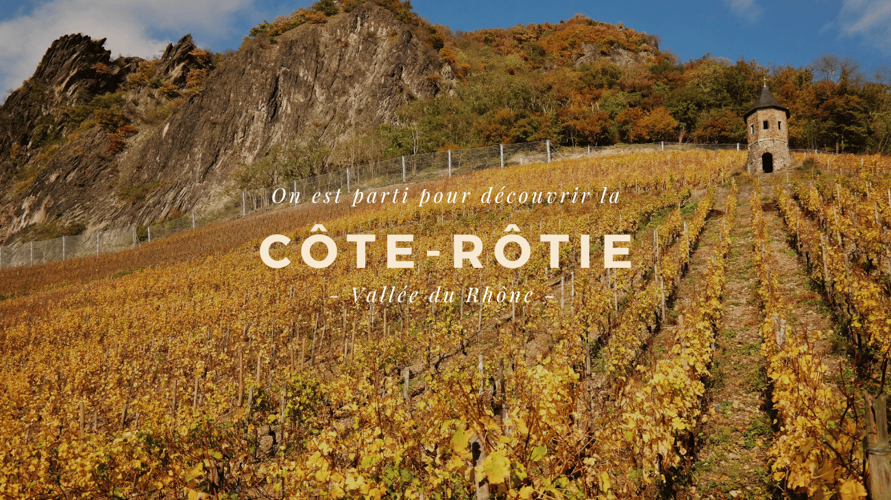 Découverte de la Côte-Rôtie !
