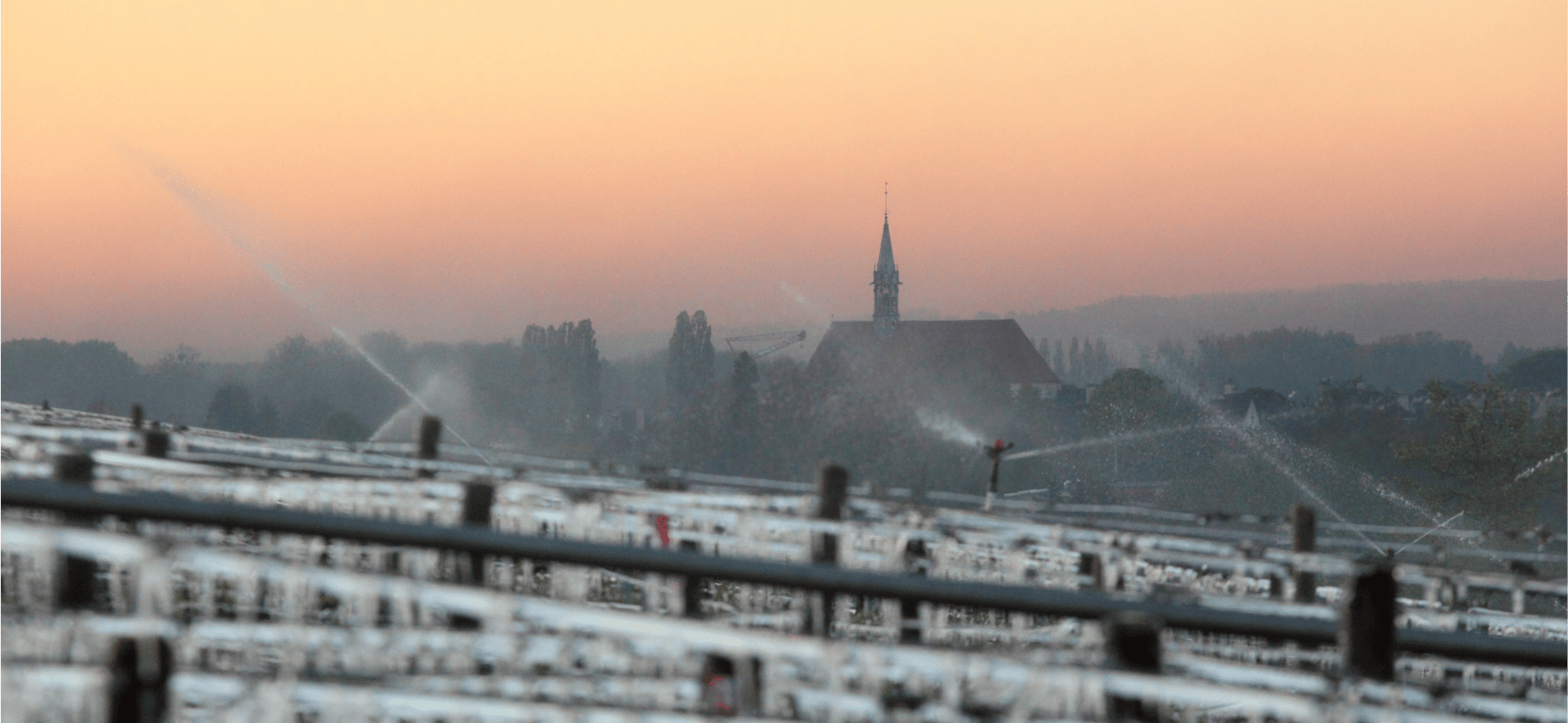 Chablis : le blanc qui polarise