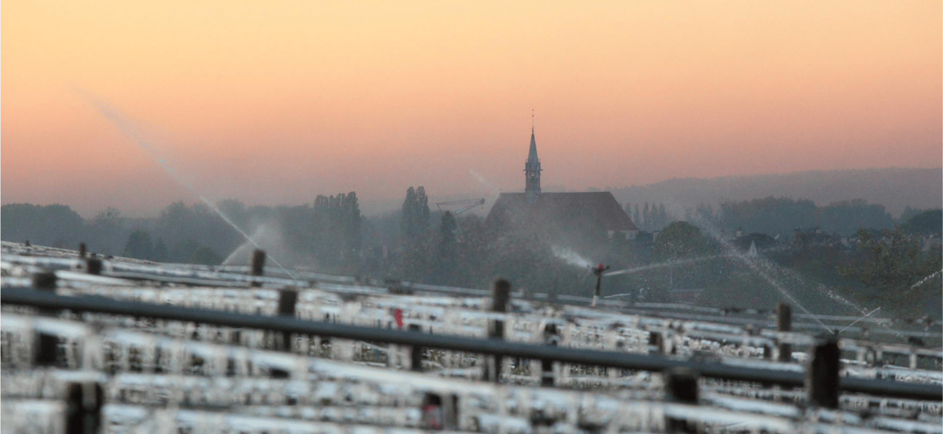 Chablis : le blanc qui polarise