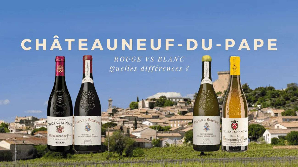 Châteauneuf-du-Pape rouge vs blanc : quelles différences ?