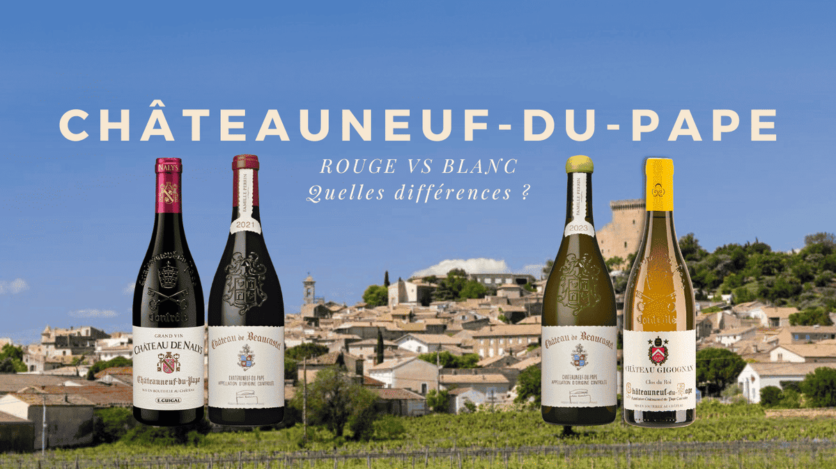 Châteauneuf-du-Pape rouge vs blanc : quelles différences ?