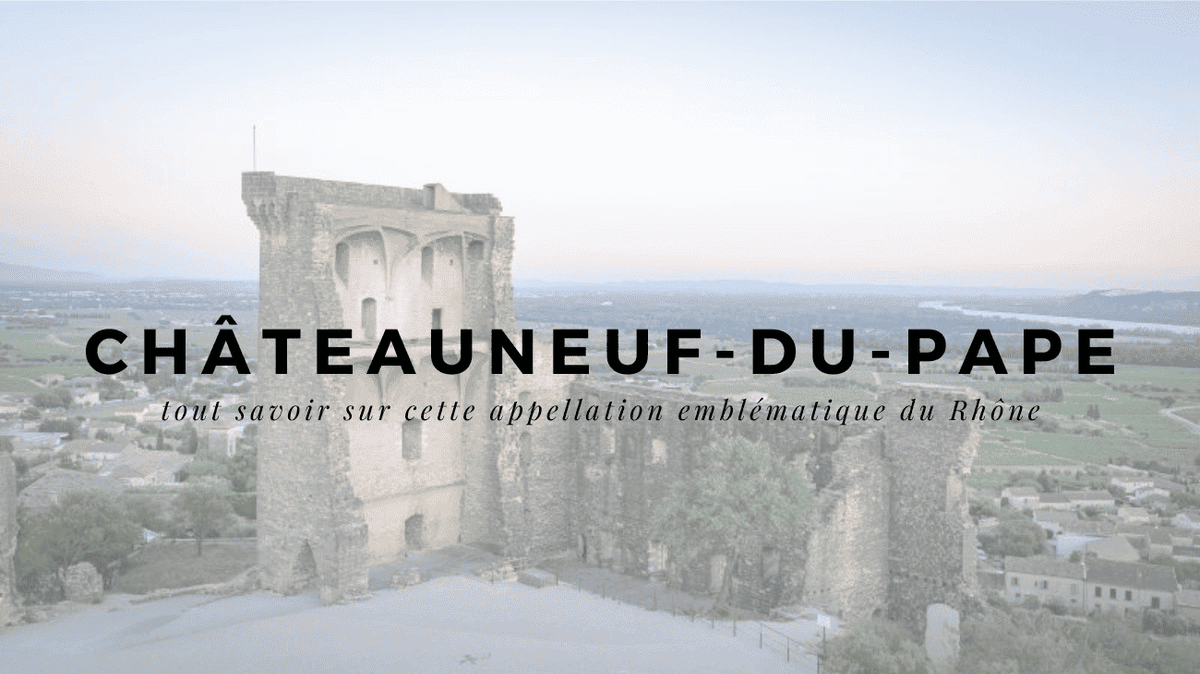Châteauneuf-du-Pape : tout savoir sur cette appellation emblématique du Rhône