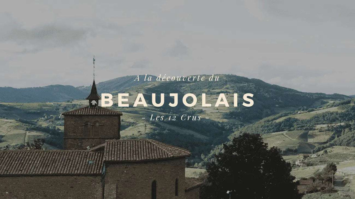 Le Beaujolais et ses crus