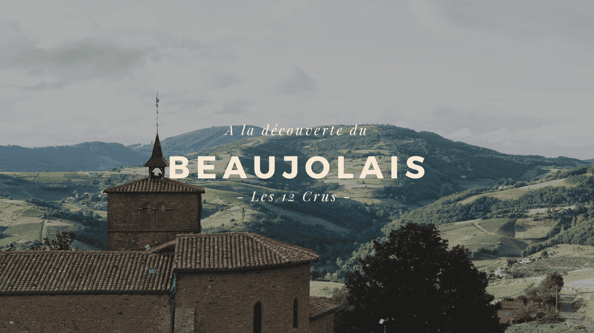 Le Beaujolais et ses crus