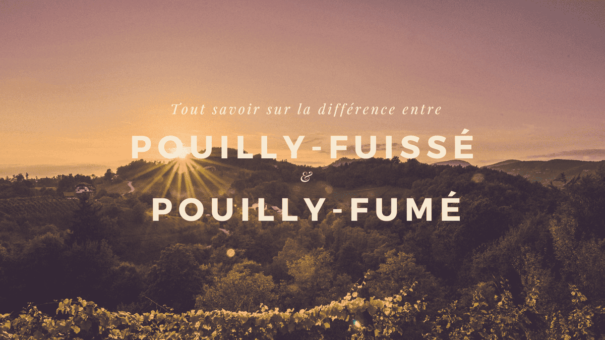 Pouilly-Fuissé vs Pouilly-Fumé : les secrets de deux vins aux noms trompeurs