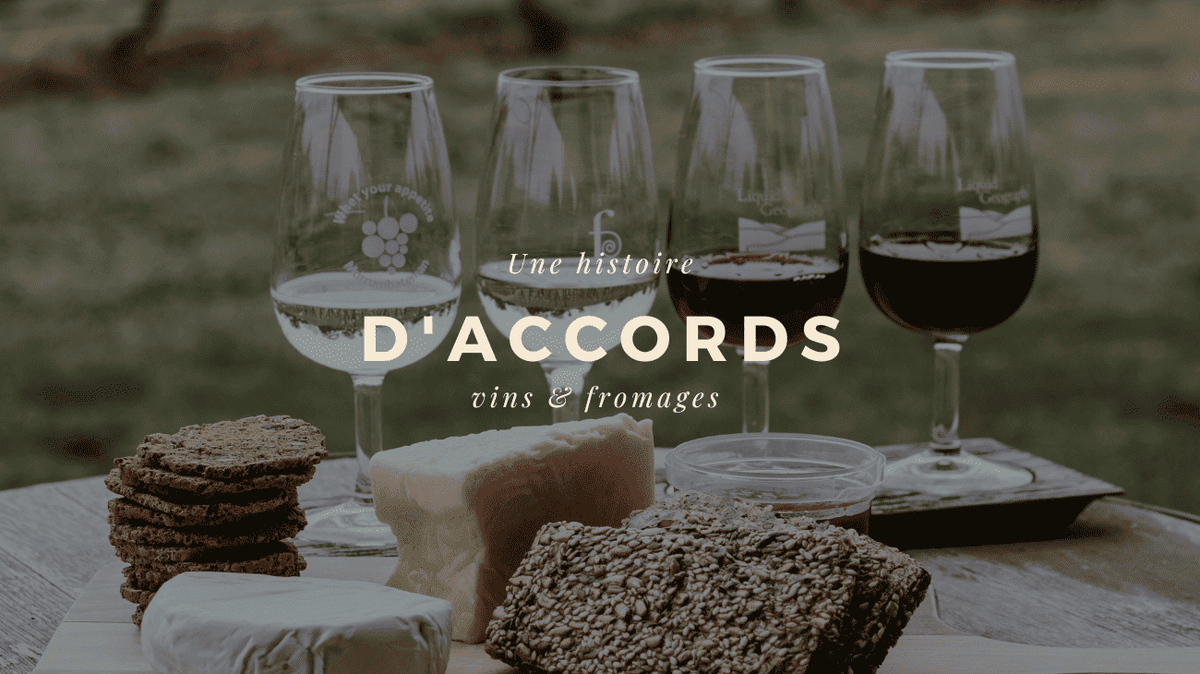 Découverte des meilleurs accords Vin-Fromage