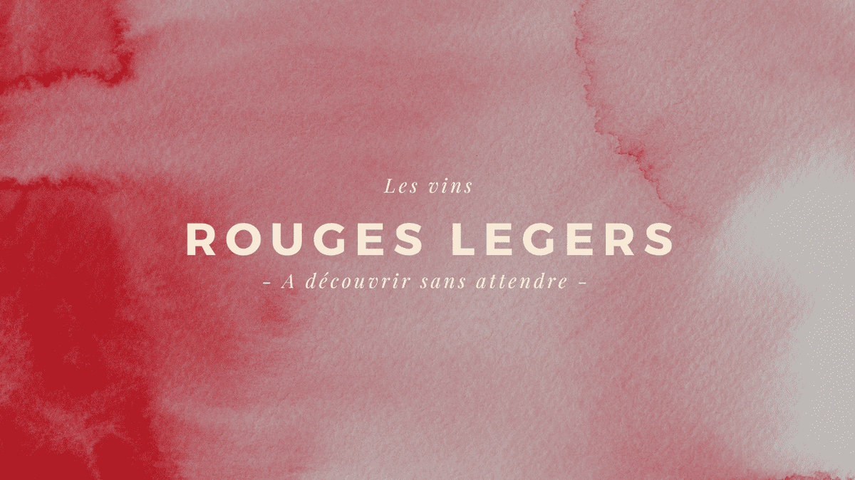 Les rouges légers, la nouvelle tendance à découvrir sans attendre !