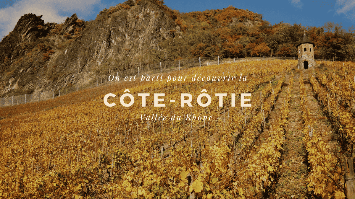 Côte-Rôtie : tout savoir sur l'appellation, les cuvées et les millésimes