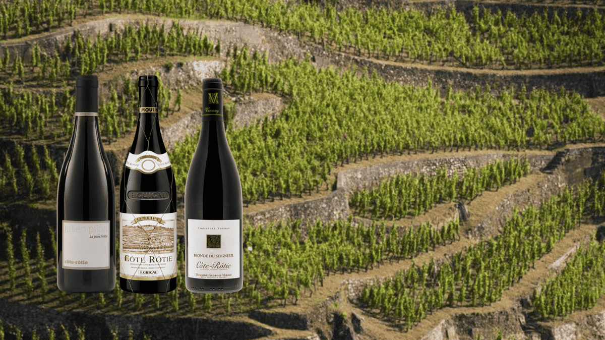 Meilleurs millésimes de Côte-Rôtie : lesquels acheter et quand les boire ?