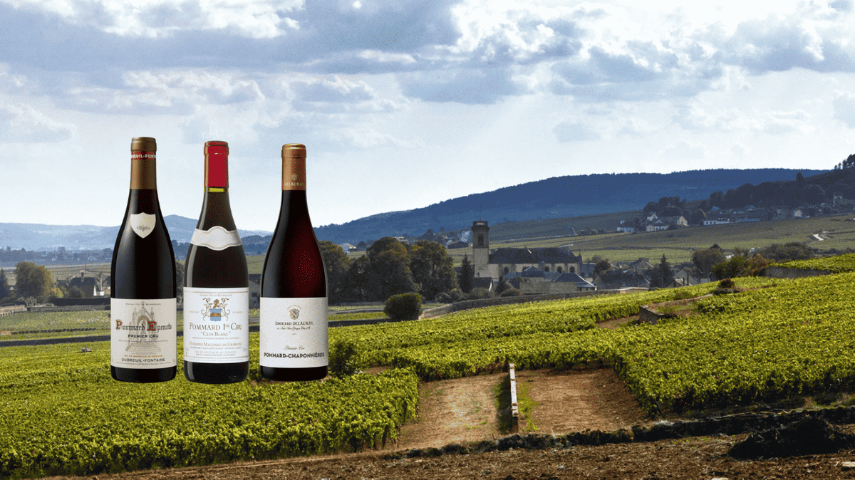 Pommard : guide complet des climats, styles, garde et prix