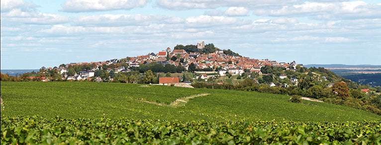 Sancerre, Pouilly-Fumé ou Ménetou-Salon : comment choisir