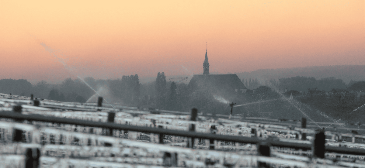 Chablis : le blanc qui polarise