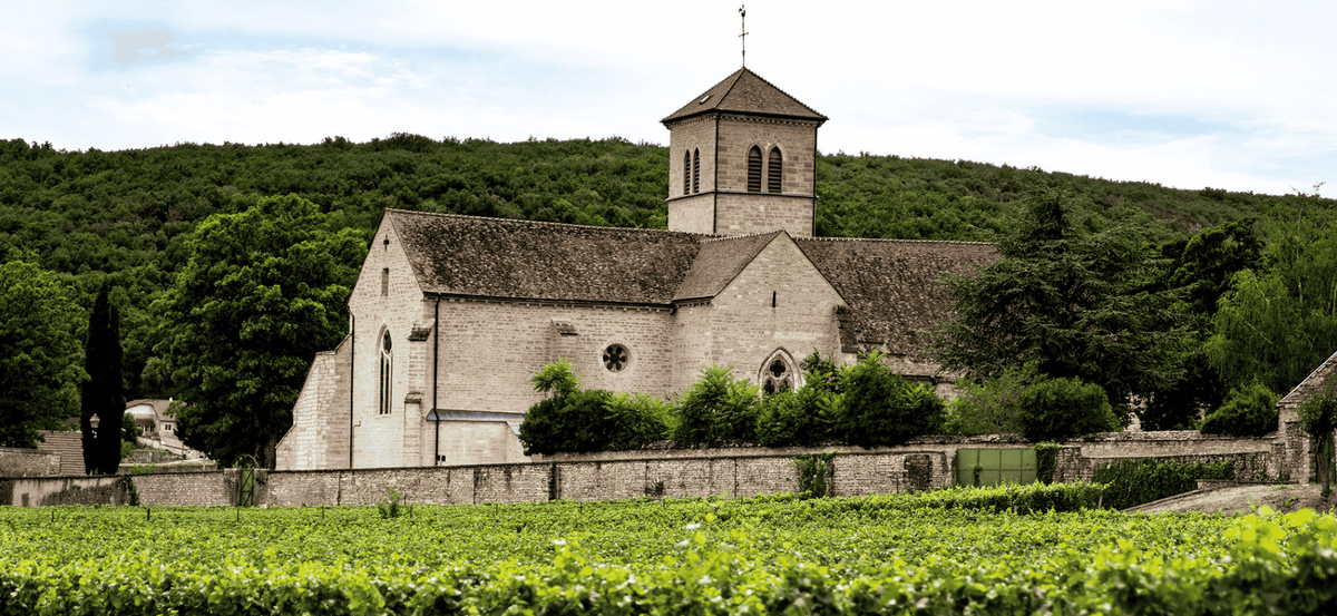 Gevrey-Chambertin : la puissance au service du style