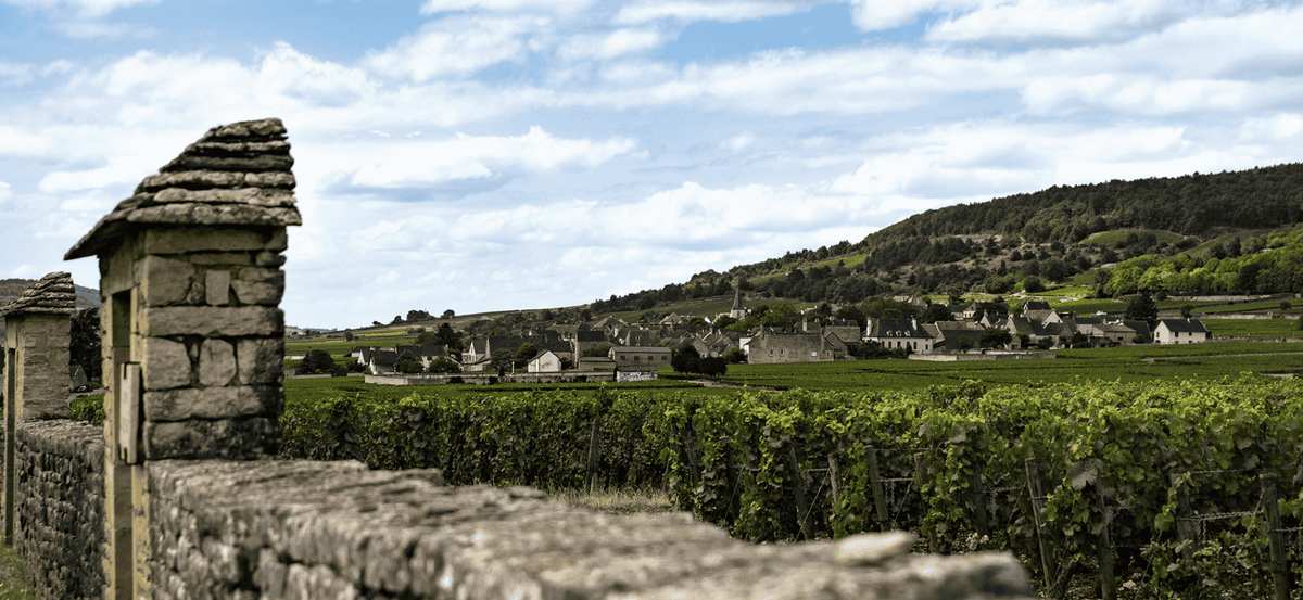 Vins de Chassagne-Montrachet : terroir, climats et domaines
