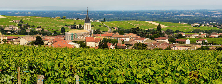 Vins du Beaujolais – Crus, rouges fruités, blancs