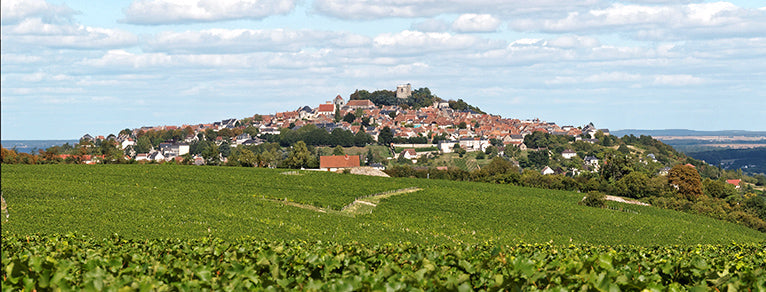 Vins de Loire – blancs, rouges, rosés & moelleux d’exception