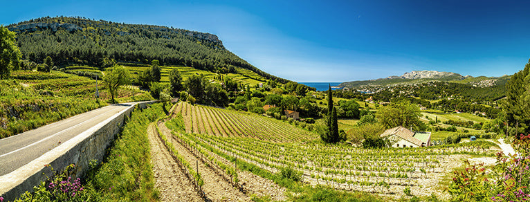 Vins de Provence – rosés fins & rouges solaires