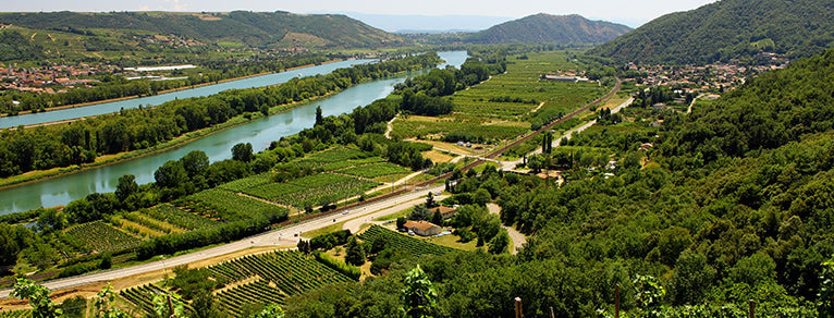 Vins de la Vallée du Rhône – rouges puissants & diversité des terroirs