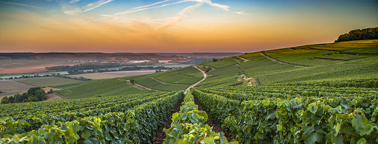 Vin de France – liberté & créativité viticole