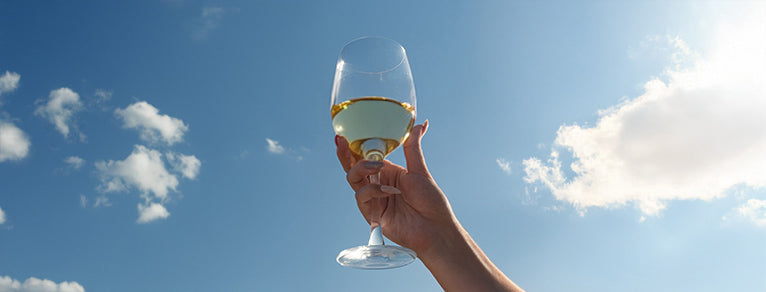 Vins légers – Fraîcheur & souplesse