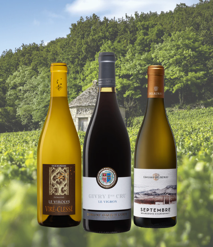 Coffret Bourgognes Incontournables