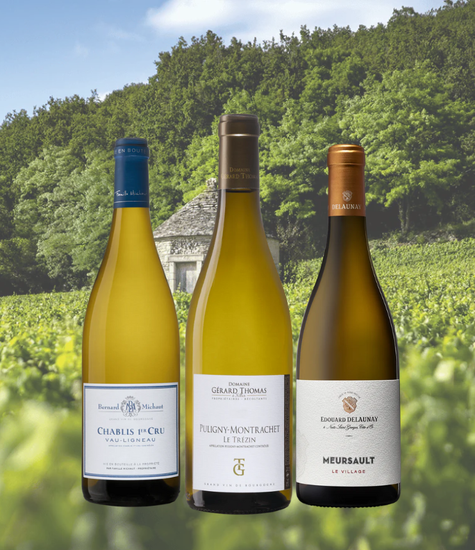 Coffret "Grands Blancs de Bourgogne"