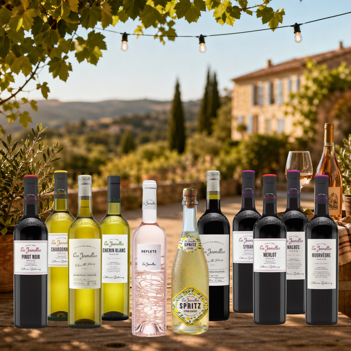 Coffret Découverte 12 bouteilles - Les Jamelles