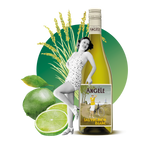 Vin de France Sauvignon blanc 2023 - La Belle Angèle