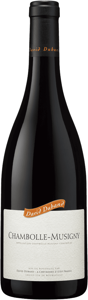 Chambolle-Musigny rouge 2023 - Domaine David Duband