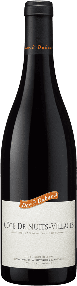 Côte de Nuits-Villages rouge 2023 - Domaine David Duband