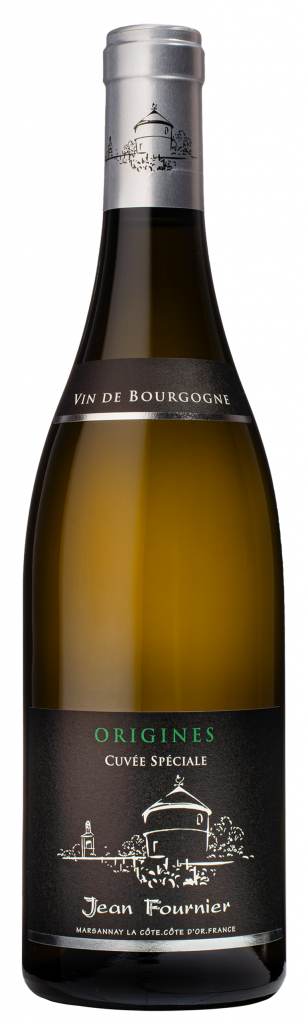 Bourgogne Origines blanc Bio 2022 - Domaine Jean Fournier