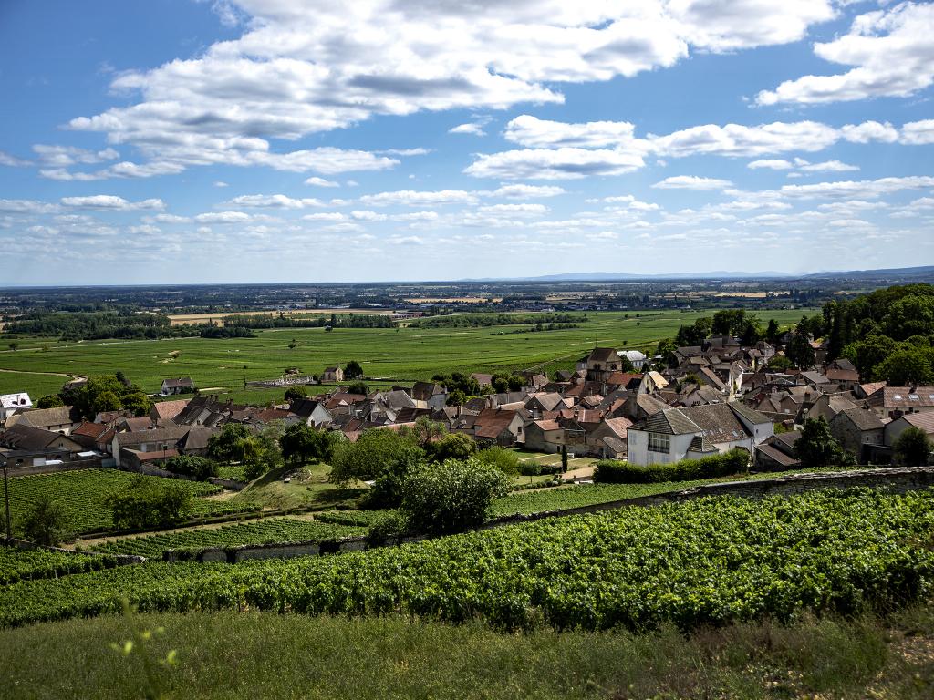 Volnay rouge 2020 - Maison Edouard Delaunay