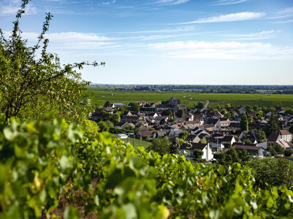 Edouard Delaunay, Nuits-Saint-Georges Premier Cru Aux Argillas, Rouge, Magnum, 2023