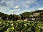 Chambolle-Musigny rouge 2022 - Maison Edouard Delaunay