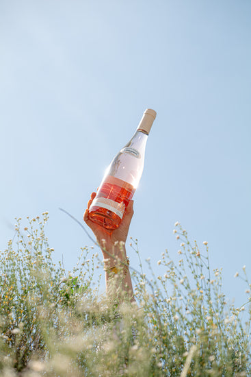 Languedoc rosé 2025 - Abbotts & Delaunay