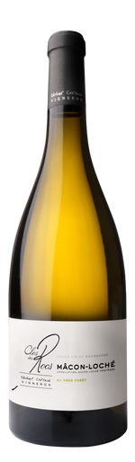 Mâcon Loché En Près Fôret blanc Bio 2023 - Domaine Du Clos Des Rocs