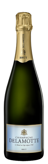 Champagne brut - Champagne Delamotte