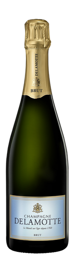 Champagne brut - Champagne Delamotte