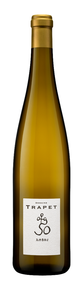 Ambre blanc Muscat Macéré blanc 2022 - Domaine Trapet Père et Fils