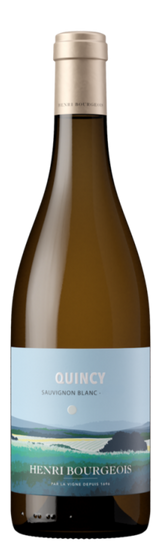 Quincy blanc 2023 - Domaine Henri Bourgeois