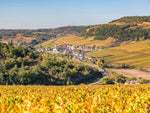 Saint-Aubin Premier Cru Les Champlots blanc 2023 - Maison Edouard Delaunay